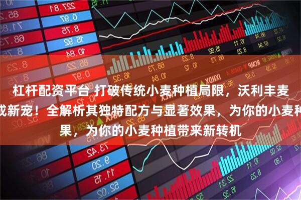 杠杆配资平台 打破传统小麦种植局限，沃利丰麦乐丰系列肥料成新宠！全解析其独特配方与显著效果，为你的小麦种植带来新转机